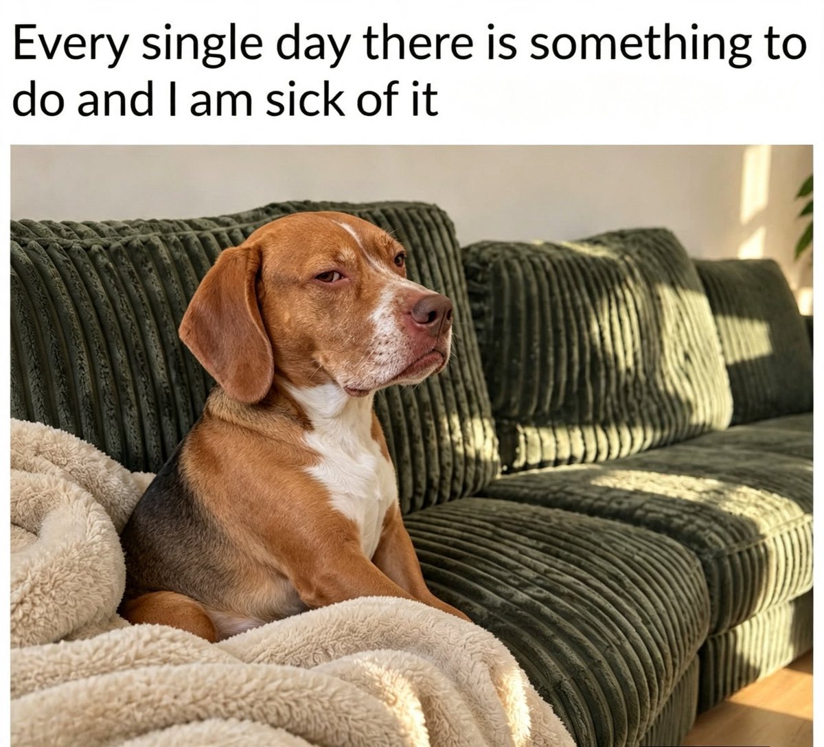 Beagle_lovr's tweet photo. "Plan after plan from morning till night... where's the rest? π"
#BeagleMeme #TiredVibes #RelatableMeme #DogLife #MondayMood #JustTired #BeagleLife #DailyStruggle https://t.co/mXClSBXkEg