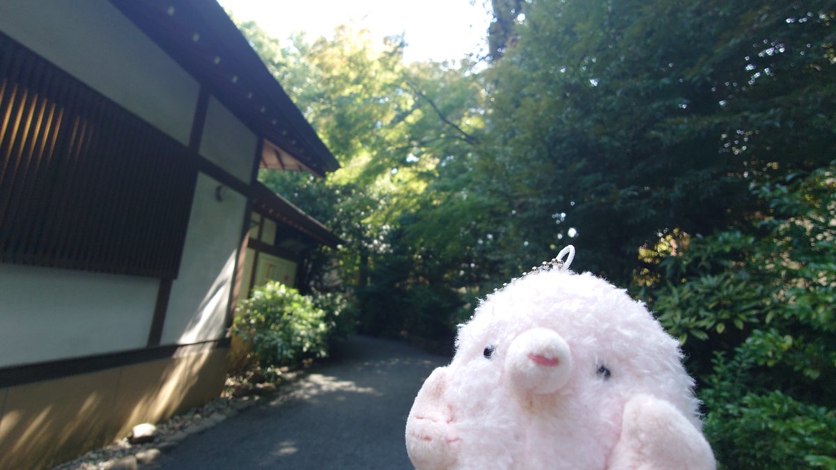 nimm_2626's tweet photo. TLに居ない命だったんですけど、あちこちでいきてはおります！げんき！いそがしくはある！
2枚目は5000円くらいするうなぎ https://t.co/MWfYCiybNw