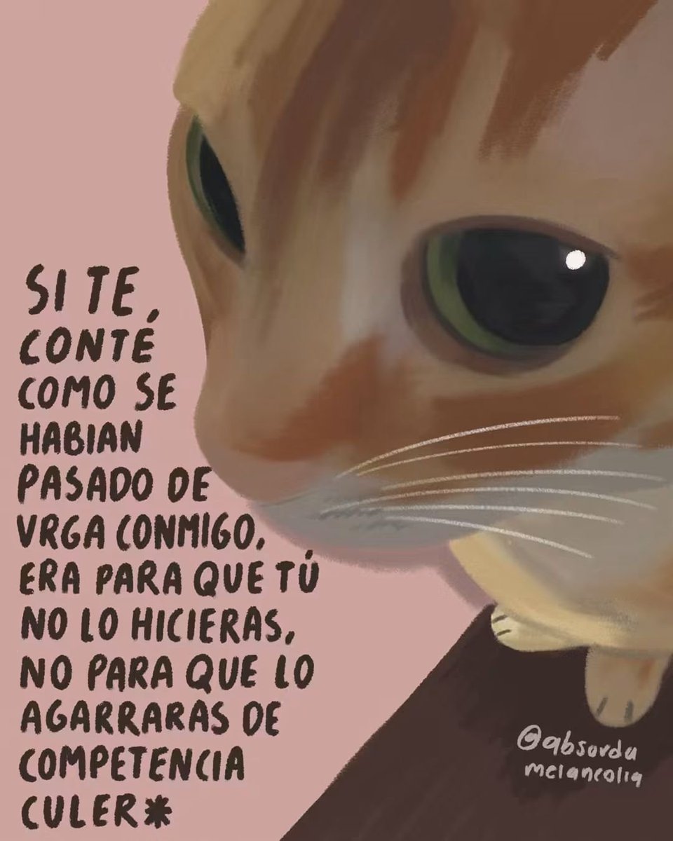 absurdamela's tweet photo. https://t.co/dHb2y5Qage