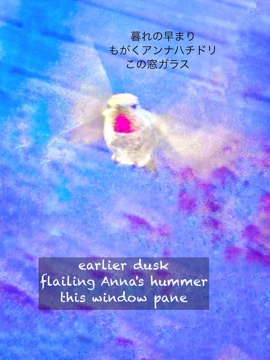 vbvlach tweet picture
