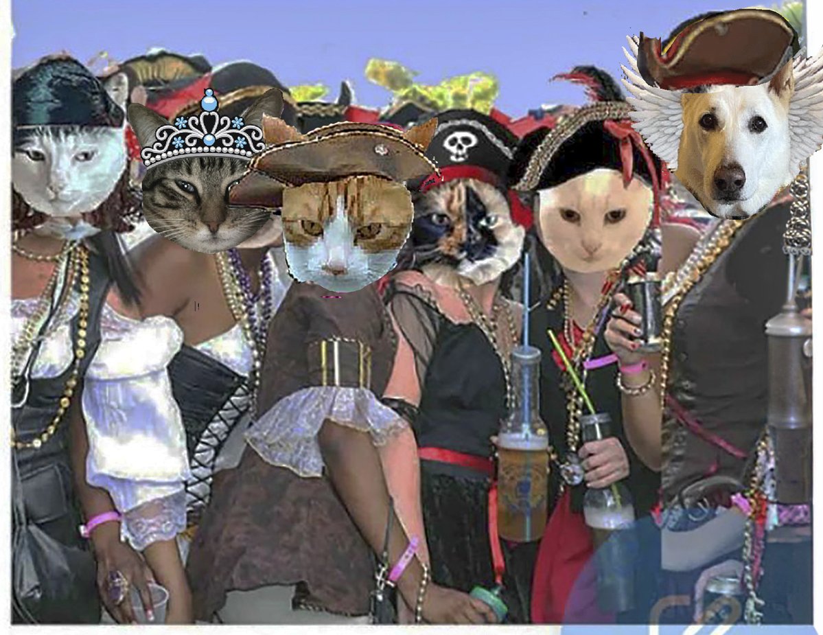 aurora3s's tweet photo. #zzst @catsrule0 @MauSupercat @AviwhiteGSD
@gensbazzbiddy @GeneralBazz 
We all crowding in to sing some pirates songs.  LaLaLa
Love you nails and jewels Avi, you looks devine. https://t.co/fKoQcr1UDx