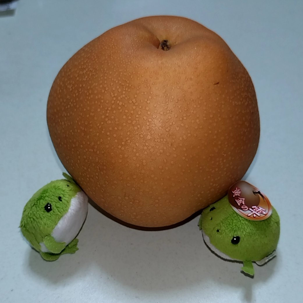 murumuru998's tweet photo. ９月
・黄金の雫、むっちゃうまい
・福島帰省、つけ麺すこぶるうまい https://t.co/QaAMI8eNKj