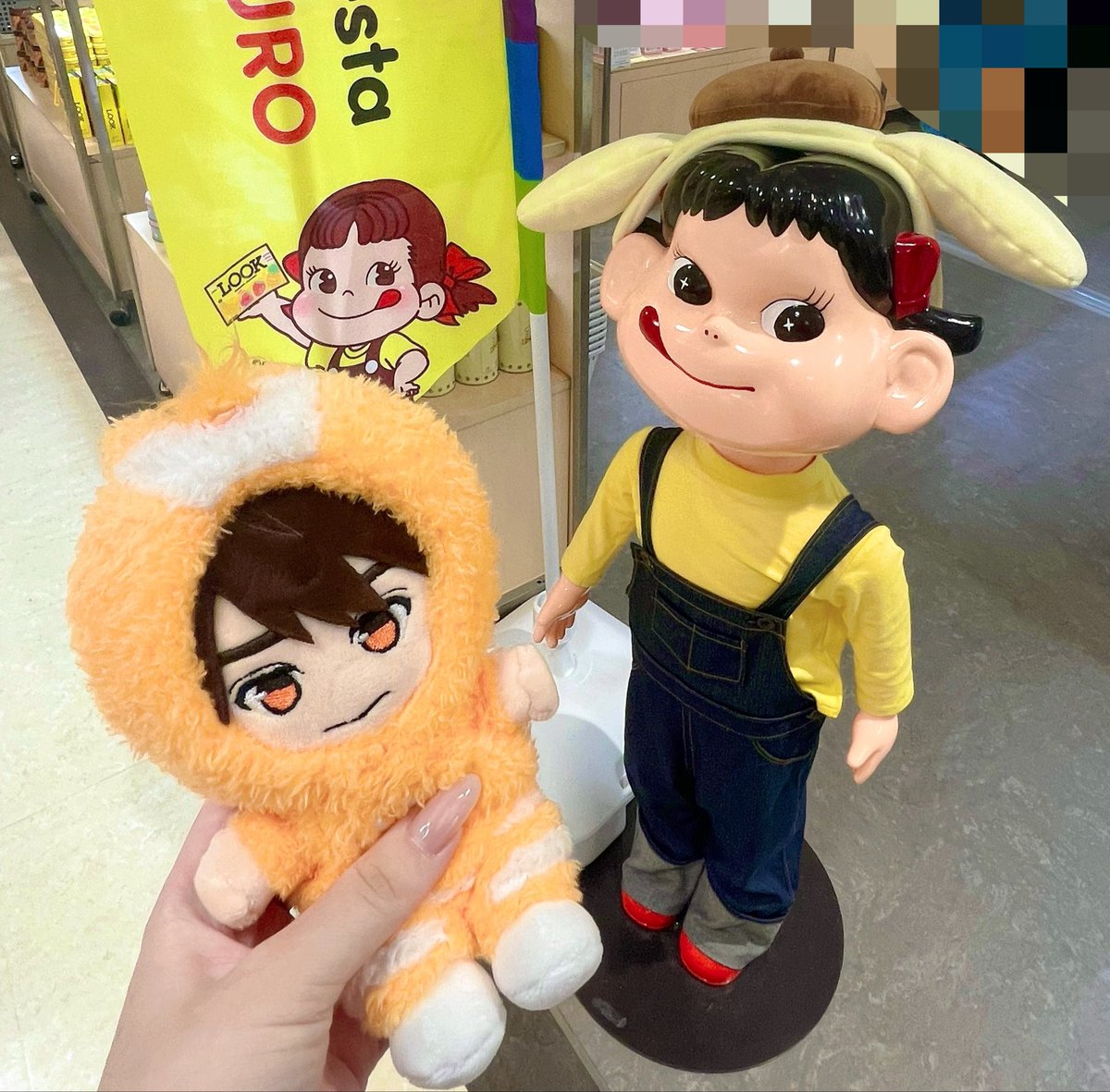 md3___'s tweet photo. そういえばペコフェス行けたﾖ(  ᴖ ̫ᴖ)⊃🍫
#ACEes #SmileSwitch 
#ぼくらは今日もルックな気分
#わすれられない日にしよう https://t.co/sYv9ugUSgN