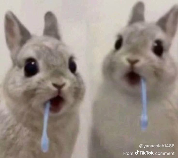 fuojshi's tweet photo. @Sweets_Veggies EJRJRHEHRHEHEHEJJRHEHEHEHEE KICKING MY LEGS GIGGLINGGGGGGGGG https://t.co/pwrAfptHGx