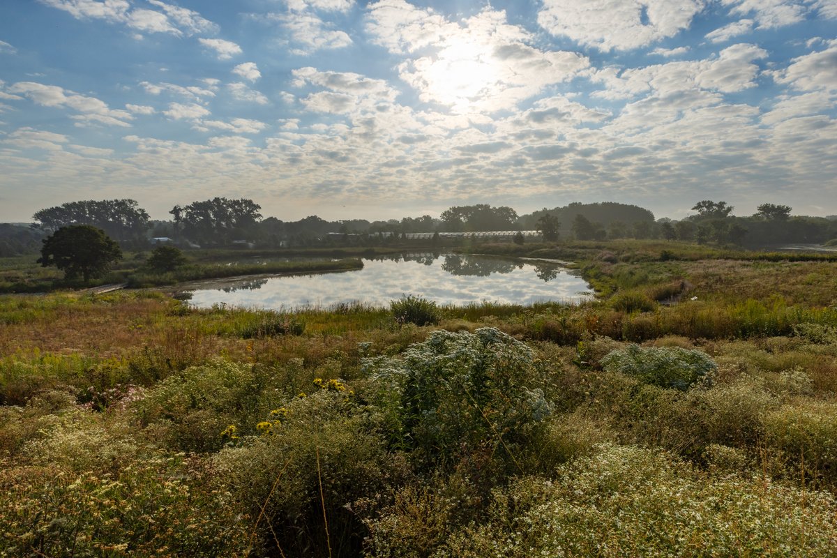 chicagobotanic's tweet photo. Enjoy a tranquil morning at the Garden. Members-only hours from 8 to 10 a.m. daily allows members to wander peaceful paths, breathe in the fresh morning air, and soak up the beauty before we open to the public. Not a member? Join today: https://t.co/Trl1fgI0QN https://t.co/W3Y6NmSFRq
