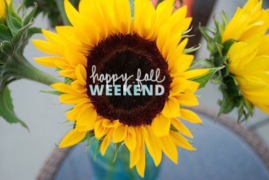 DTNEtiquette's tweet photo. Happy fall weekend...I hope you enjoy everything beautiful about this season—I know I am! ~ #DTN #FallWeekend #PumpkinsAndSunflowers #BeautifulColors https://t.co/s6pIZ9HtEd