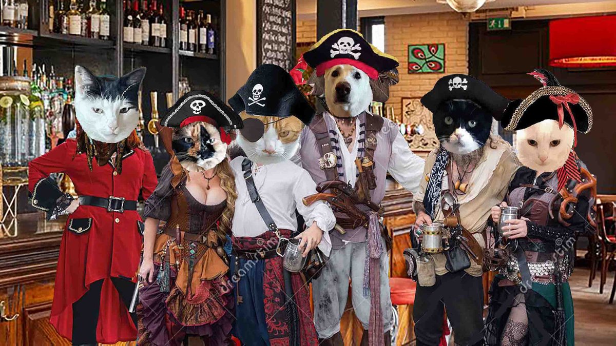 aurora3s's tweet photo. NoT SURPRISED,  We all ended up at the pirates bar. https://t.co/VKKEa1GSld