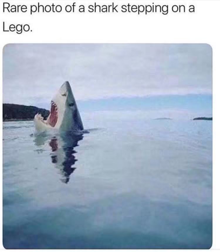 WholesomeMeme's tweet photo. https://t.co/6KpzCVuTPj