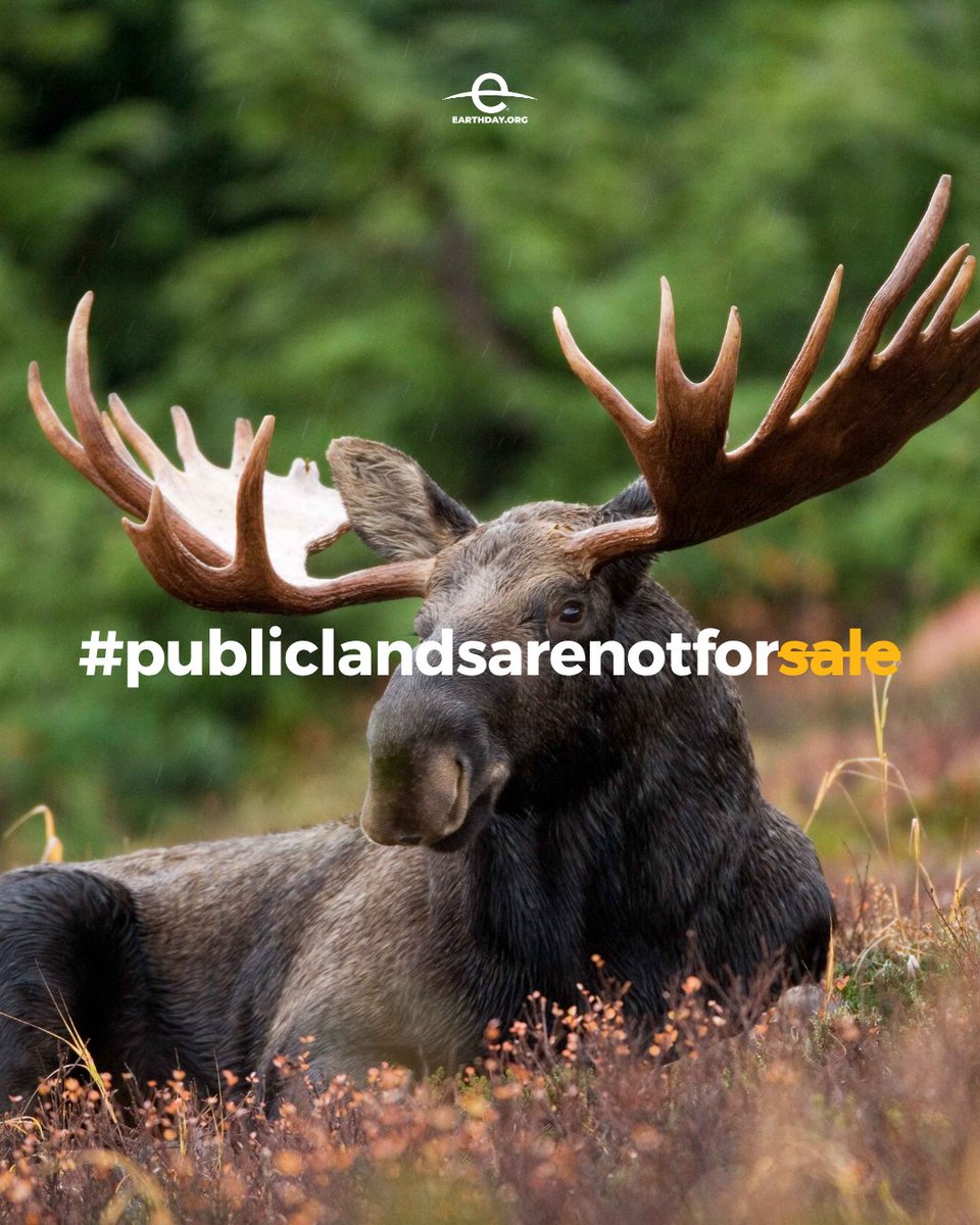 EarthDay's tweet photo. Public lands don’t need to be “put to use.”

They already serve a purpose.

Public lands are living landscapes with value far beyond what can be developed or removed.
#nationalpubliclandsday https://t.co/s3iliCGvCw