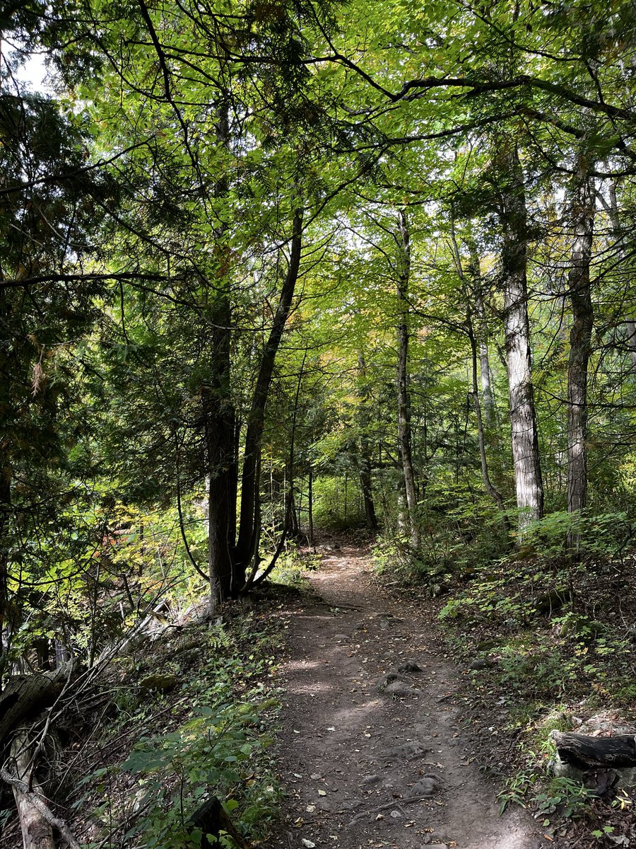 ConsumerSOS's tweet photo. Great day for a hike here at Belfountain Conservation Area.  If you want privacy, this is the place. You need a reservation and they strictly limit the number of people daily. Beautiful Saturday outing. Plan ahead. @CVC_CA https://t.co/30bdt6TCLl
