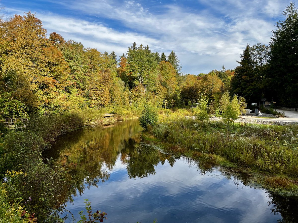 ConsumerSOS's tweet photo. Great day for a hike here at Belfountain Conservation Area.  If you want privacy, this is the place. You need a reservation and they strictly limit the number of people daily. Beautiful Saturday outing. Plan ahead. @CVC_CA https://t.co/30bdt6TCLl