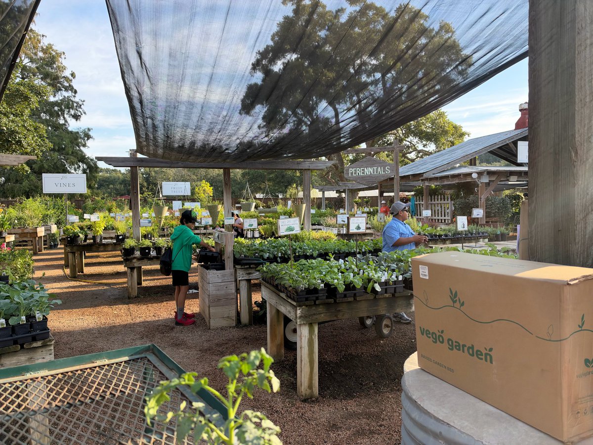 alief_middle's tweet photo. AMS students visited Enchanted Gardens for a field trip for our ECHO Garden. A kind stranger noticed and purchased ALL of our garden supplies! 

Thank you, Mrs. Henderson, Mrs. Tikal, Ms. Torrez and the generous community member for helping our garden grow!  #HereWeGrowAgain https://t.co/Ki6k081oCO