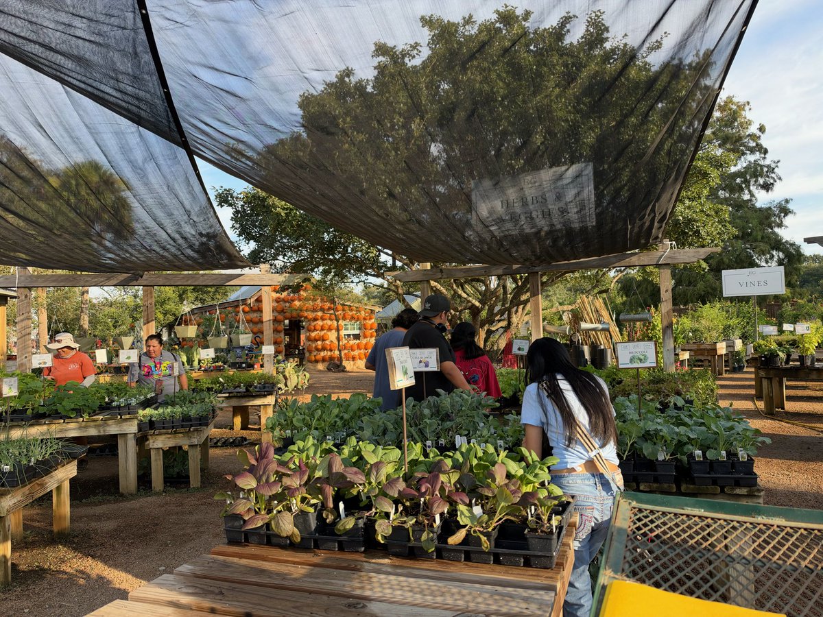 alief_middle's tweet photo. AMS students visited Enchanted Gardens for a field trip for our ECHO Garden. A kind stranger noticed and purchased ALL of our garden supplies! 

Thank you, Mrs. Henderson, Mrs. Tikal, Ms. Torrez and the generous community member for helping our garden grow!  #HereWeGrowAgain https://t.co/Ki6k081oCO