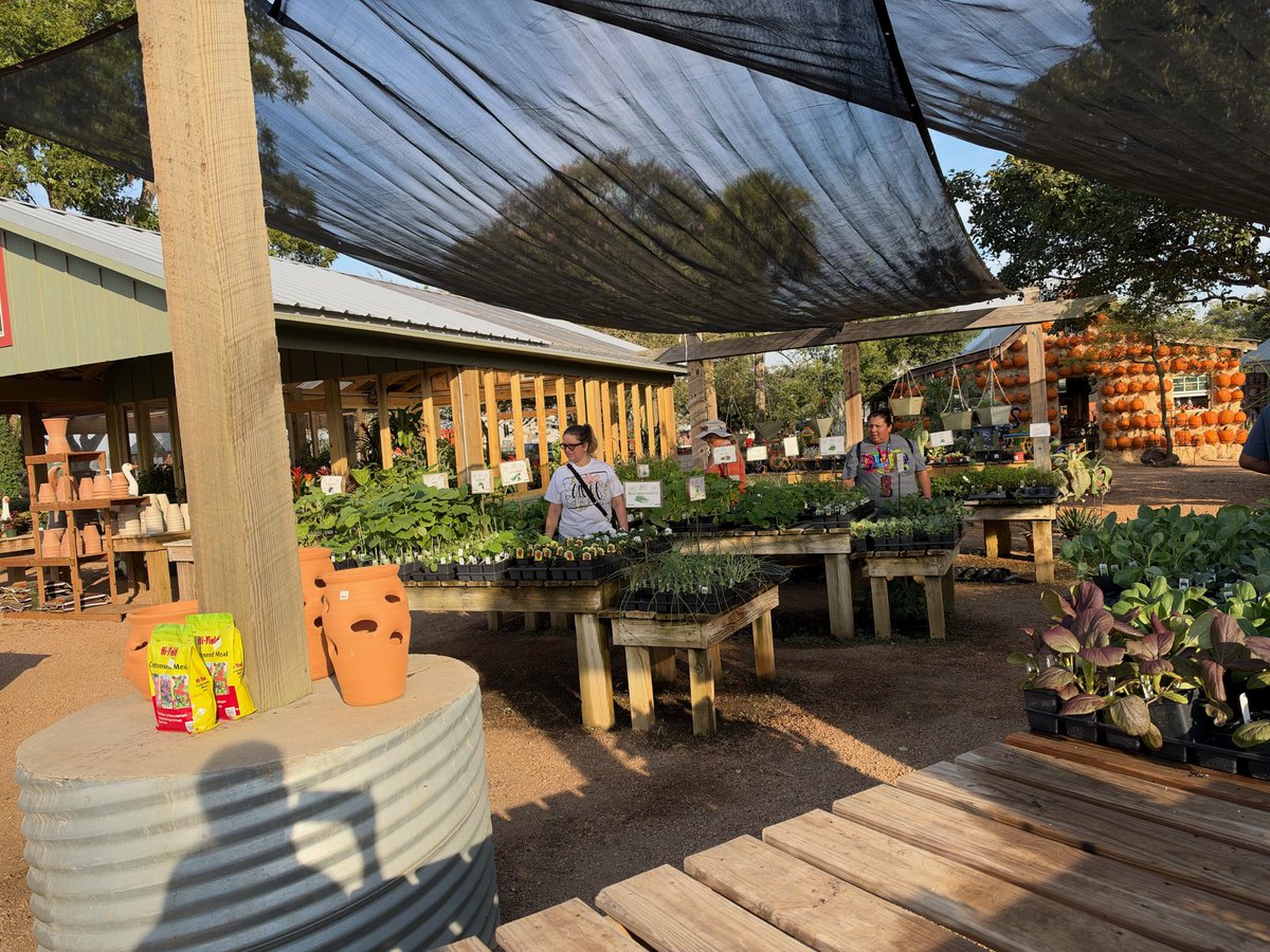 alief_middle's tweet photo. AMS students visited Enchanted Gardens for a field trip for our ECHO Garden. A kind stranger noticed and purchased ALL of our garden supplies! 

Thank you, Mrs. Henderson, Mrs. Tikal, Ms. Torrez and the generous community member for helping our garden grow!  #HereWeGrowAgain https://t.co/Ki6k081oCO