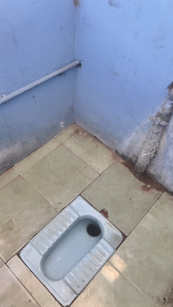 mami_cuckboy's tweet photo. Today’s venue: “public toilet”. I met many bulls today, some very special, especially 30- to 40-year-old bull mamas. They make me crawl around the toilet and lick the floor of their cum. They treat me like their sl*tty wife and fill my a$$.I leaked more than 50 times today.#sissy https://t.co/Q6ztUO9JfD