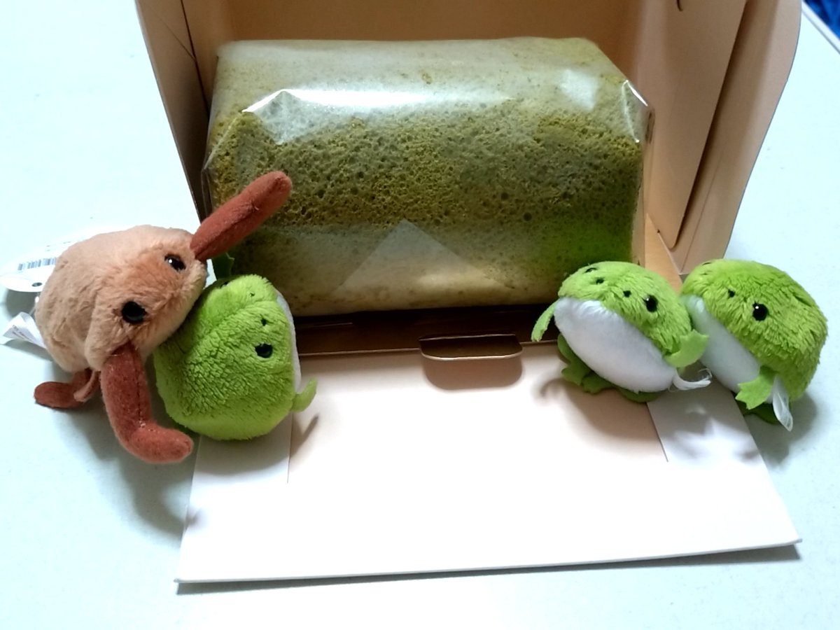 murumuru998's tweet photo. 昨日はｶｲﾇｼ誕生日！
作る時間も体力もなかったので、ｶｲﾇｼ旦那がむちゃうまロールケーキ買ってきてくれた
おやいづ製茶の茶蘇ロール、ほんと美味いんだよなぁ…素晴らしい…… https://t.co/18PTAzIMQQ