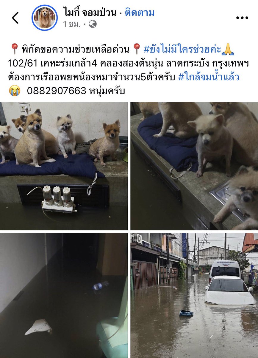 Tongmmm2's tweet photo. รบกวนฝากดันเคสนี้ด่วน ‼️‼️‼️ 
พิกัด #เคหะร่มเกล้า 4  🙏🏻🙏🏻🙏🏻🙏🏻

#น้ําท่วม #พยากรณ์อากาศ #ฝนตก 
#โหนกระแส https://t.co/G3x68tB2Uk