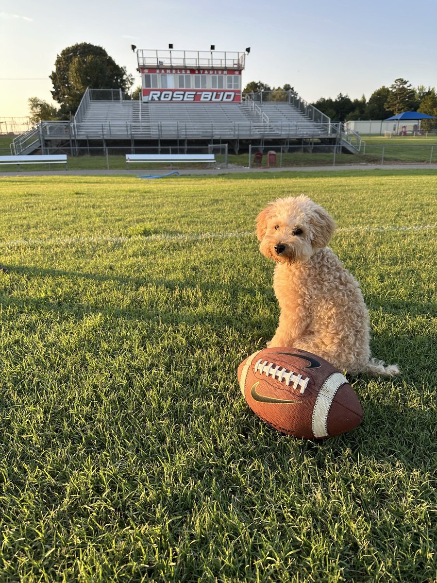 ShellJean22's tweet photo. Rowdy is a big Rose Bud Rambler fan!! πΉπΆπ @TMobile @RoseBudRamblers #FN5GL #Entry #Rally4RB https://t.co/KSWttgbqYo