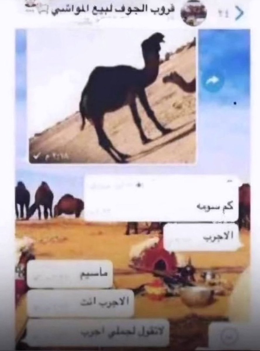 j0j0j0j5's tweet photo. هذا صاحب القرار https://t.co/kJTJRpwrEk