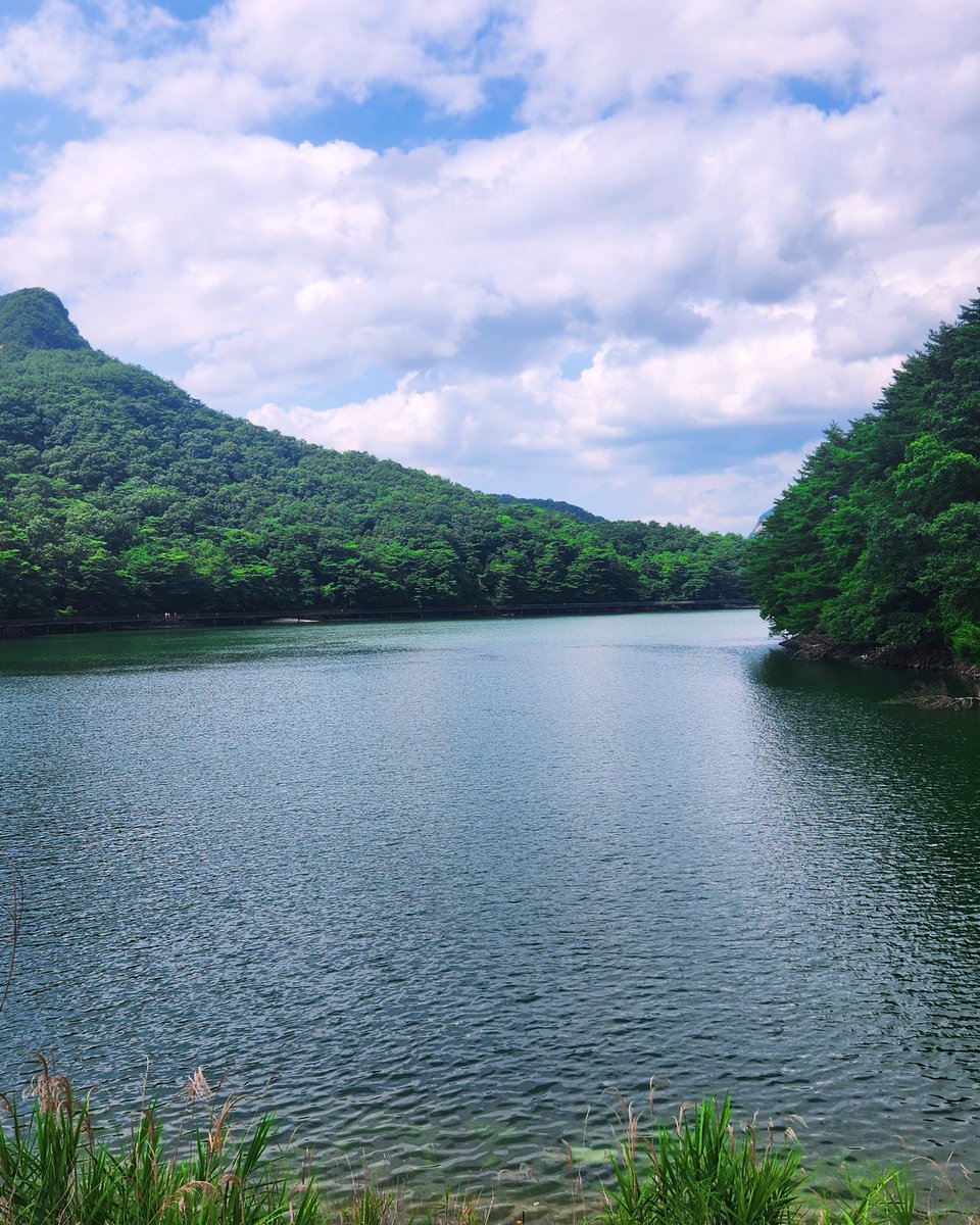 averythompsonm0's tweet photo. A trip to Sanjeong Lake where I nearly lost my memory from the heat. The alpacas were adorable, happily munching on carrots. https://t.co/1jw3NvMoDn