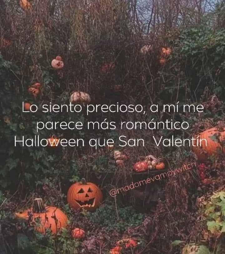MishitaSV's tweet photo. 🧡🎃 https://t.co/9UFuIXFd2Y