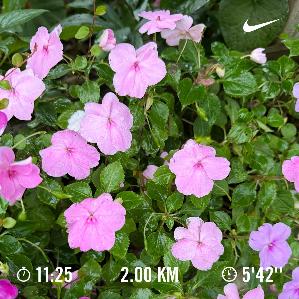 runrunrunning21's tweet photo. ランニング🏃　#846走目 https://t.co/3qDFz8df0v