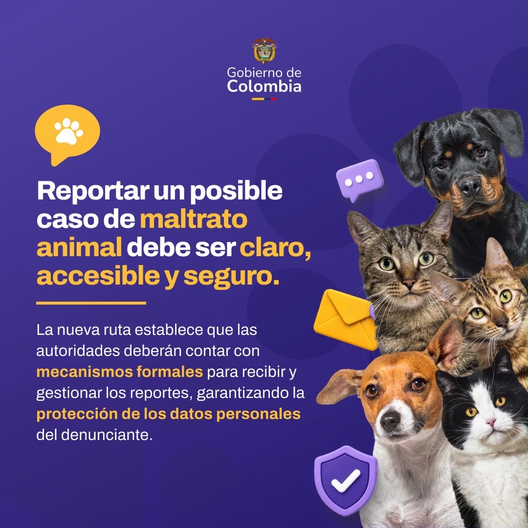 MinAmbienteCo's tweet photo. #ElABCdelAmbiente | La Ley Ángel se convierte en acción: una ruta con cuatro momentos y tres niveles de atención para priorizar a los animales en mayor riesgo, coordinar a las autoridades y evitar demoras.

Prometimos protegerlos. Estamos cumpliendo. 🐾

#PatriaMilagro https://t.co/m296WGcIyv