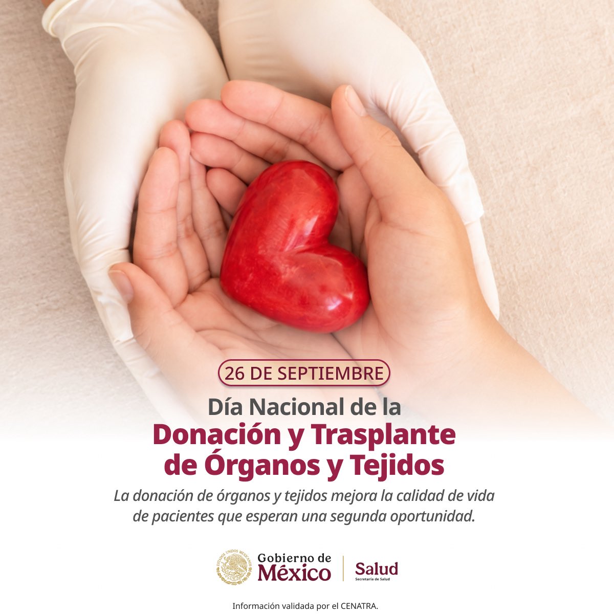 SSalud_mx's tweet photo. 26 de septiembre | Día Nacional de la Donación y Trasplante de Órganos y Tejidos

Una decisión puede convertirse en una nueva oportunidad para alguien más. La donación de órganos y tejidos brinda esperanza, transforma vidas y representa un acto de solidaridad. 🩺💚

Hablar de tu decisión con tu familia es un primer paso para que tu voluntad pueda hacerse realidad. 👨‍👩‍👧‍👦🤝🏻

Regístrate como donadora o donador en: https://t.co/KLTKDxLunn 

Tu decisión puede dar una nueva oportunidad de vida. 💚✨