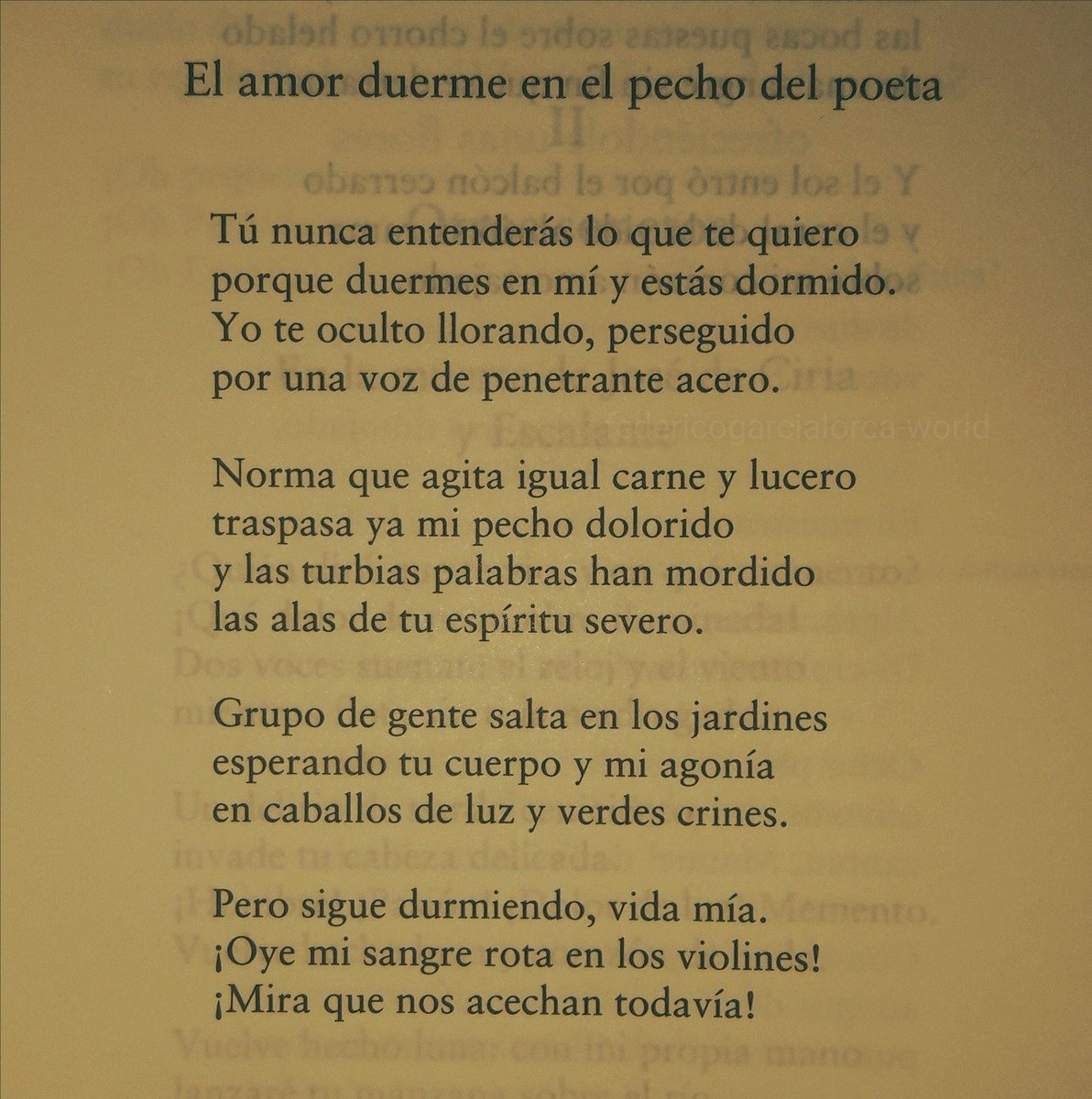 CarlosBergaraEd's tweet photo. Federico García Lorca https://t.co/KW8wlo3FBN
