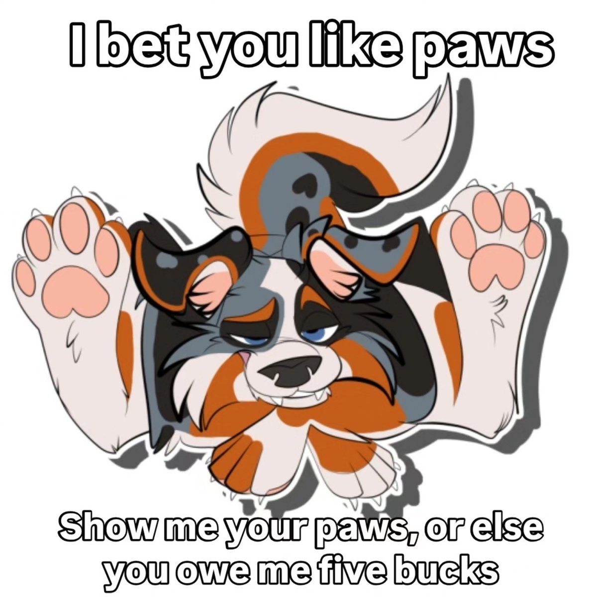 NikkoTheMutt's tweet photo. Paws at u twin! https://t.co/Ji6AzApBs6