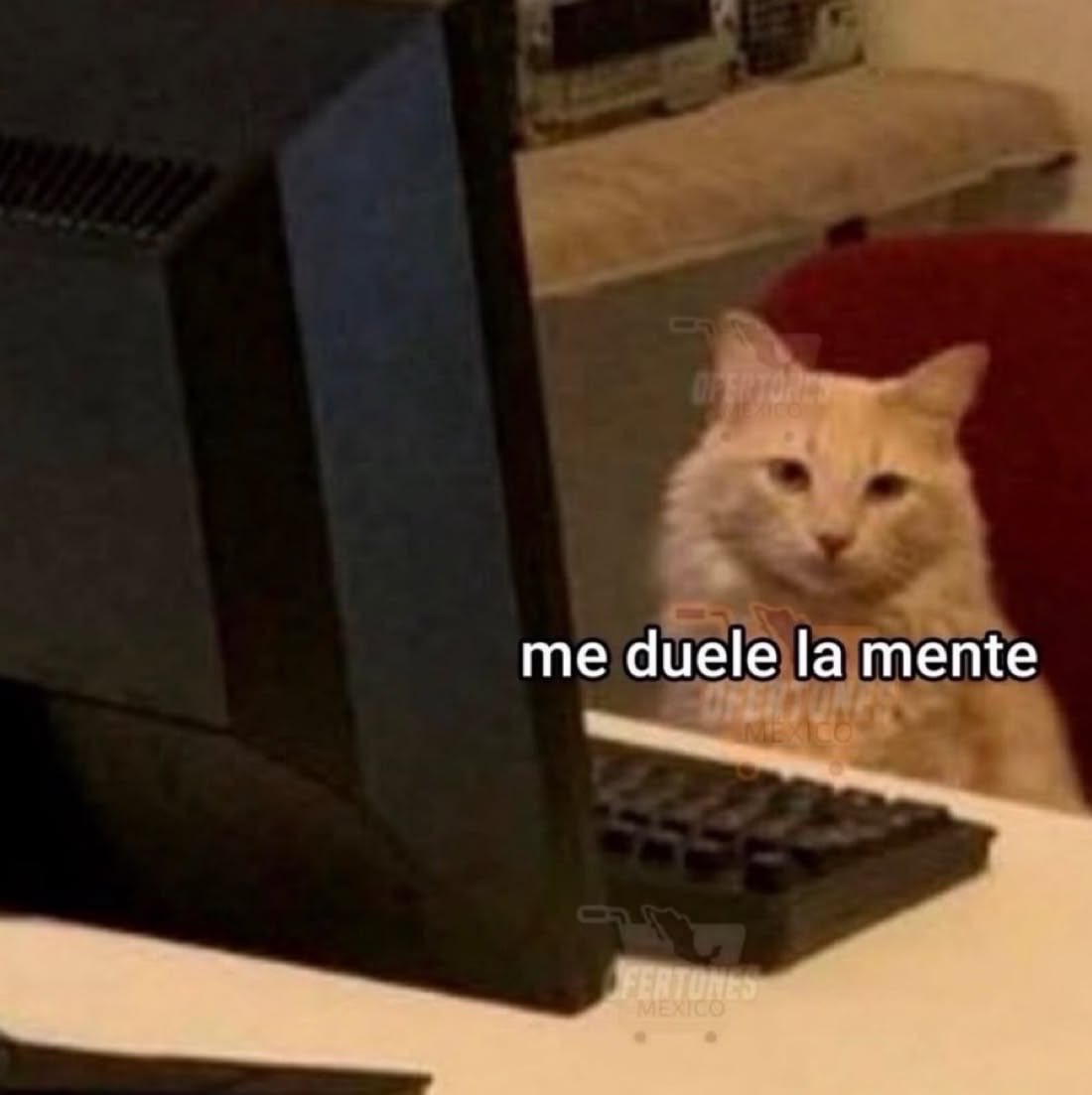 Njdiary19's tweet photo. Demasiadas coincidencias, pero que aún no creo https://t.co/EltysdENfQ