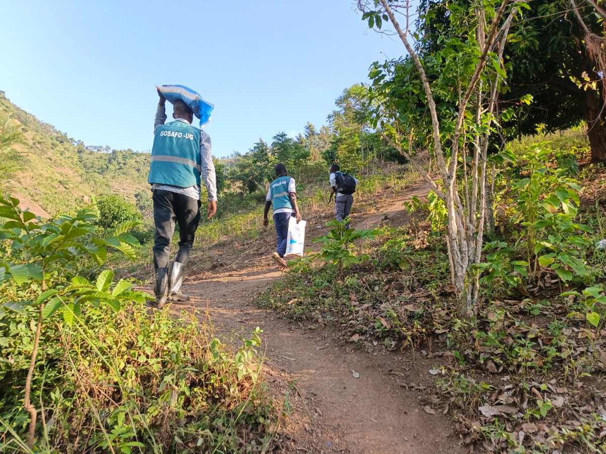 Gosafo_ug's tweet photo. "THE HILLS ARE STEEP, BUT THEIR HUNGER IS FAR DEEPER." 
Take a close look at these photos.

This isn't just a walk. This is a battle against gravity, heat, and exhaustion to keep children from sleeping hungry...
DAY TWO of our Emergency Food Distribution; to reach the families... https://t.co/W92NCyWjdq