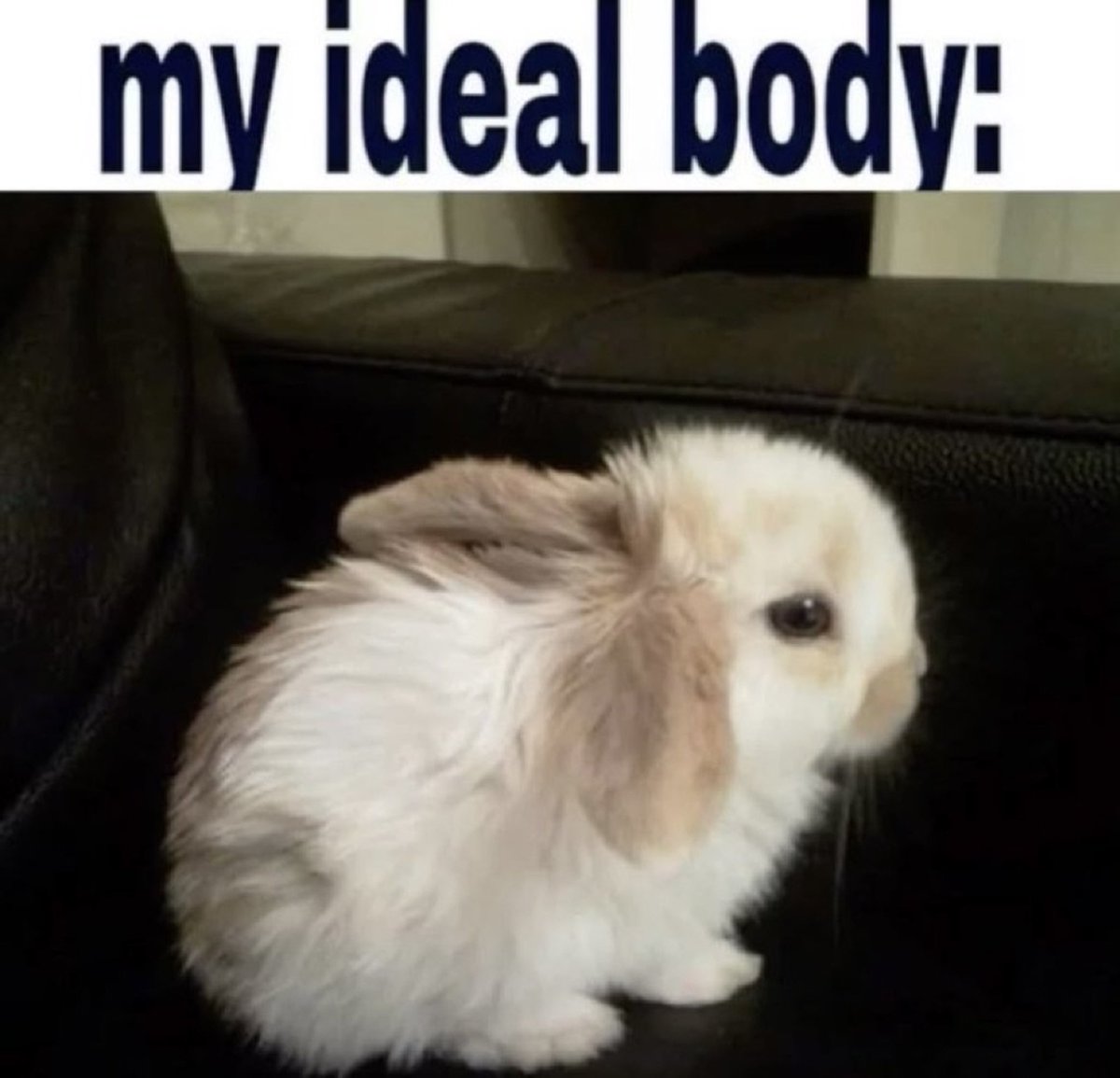 bunnyposting_'s tweet photo. once again society has created unrealistic beauty standards https://t.co/FCmNttcxza