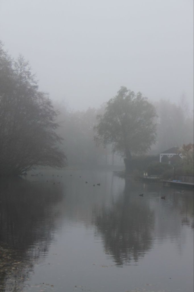 gloomyvisuaIs's tweet photo. gloomy lake. https://t.co/lxu1xkyux8