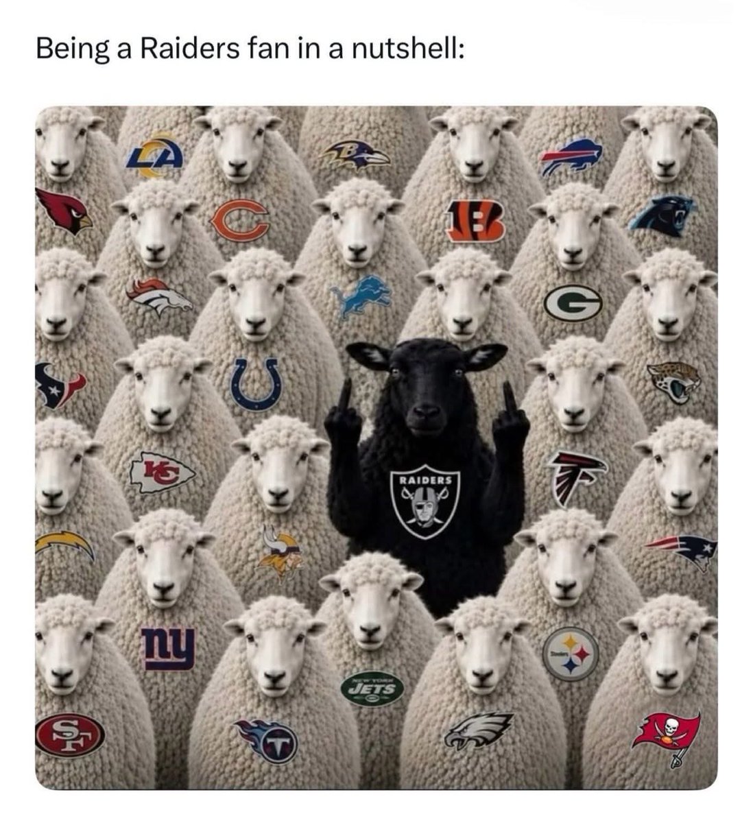 Rdrneil's tweet photo. 😎 https://t.co/WfR2xAHnWE