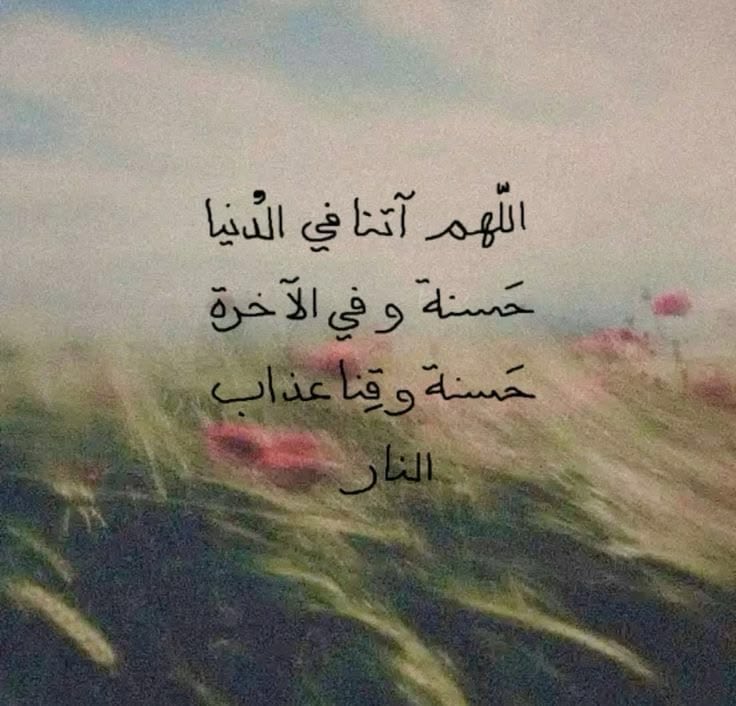 lilac__i's tweet photo. @iaa3i https://t.co/Po0rP5GpkN