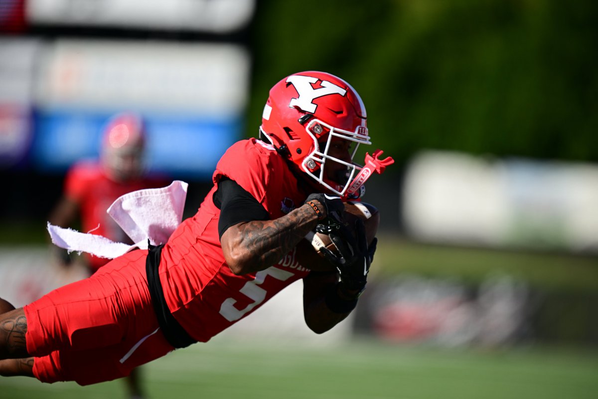 ysufootball's tweet photo. What a catch by Fresh Walters!

His diving grab puts us inside the 5!

#GoGuins https://t.co/9dvD3ExBDv
