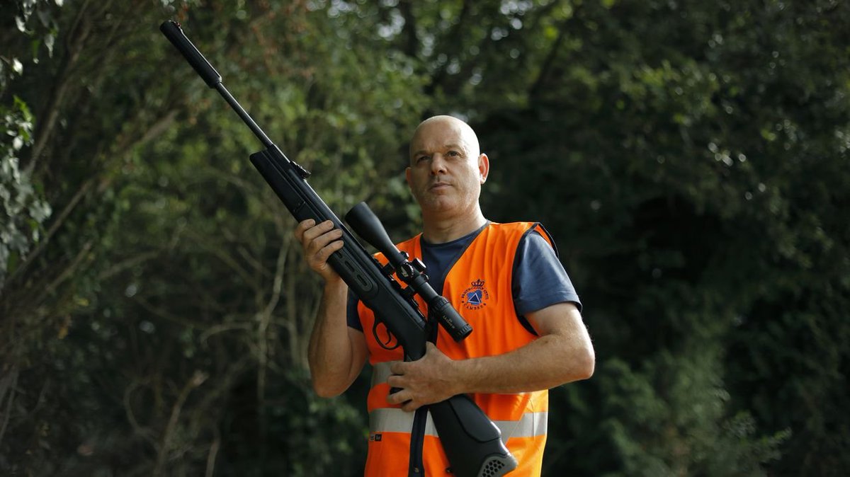 PlinioElGuapo's tweet photo. En Galicia llevan años usando armas de aire comprimido y balas con veneno para luchar contra la #VespaVelutina
Una función que realizan los #voluntarios de #ProteccionCivil, que hace centenares de actuaciones cada año para eliminar estos nidos de esta avispa invasora y peligrosa https://t.co/Sy28cnMK2r