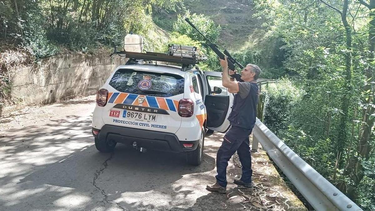 PlinioElGuapo's tweet photo. En Galicia llevan años usando armas de aire comprimido y balas con veneno para luchar contra la #VespaVelutina
Una función que realizan los #voluntarios de #ProteccionCivil, que hace centenares de actuaciones cada año para eliminar estos nidos de esta avispa invasora y peligrosa https://t.co/Sy28cnMK2r