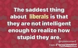 Shorinryuronin7's tweet photo. @ML3democrats She is so right, a worthless POS that has never created hundreds of jobs and billions of dollars to help the people in this nation and advance this nation above all is terrible. But Amazon &amp; FB that pay nothing and get money to open up shops was OK, never said shit about them. https://t.co/MWPNVb4cq2
