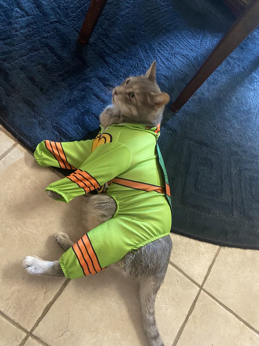 borqalot's tweet photo. Suffice to say he still doesn’t fit in his old costume https://t.co/bDmFyWkd7U