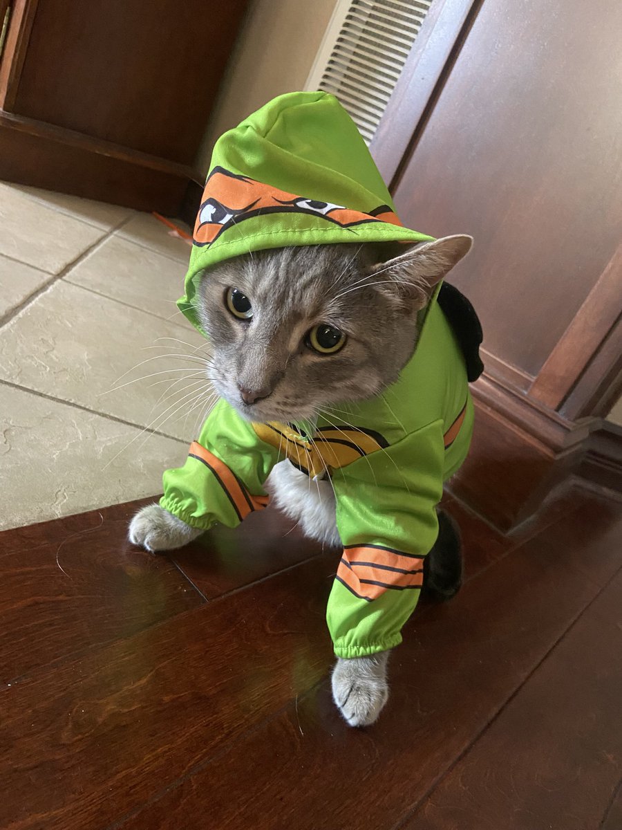 borqalot's tweet photo. Suffice to say he still doesn’t fit in his old costume https://t.co/bDmFyWkd7U