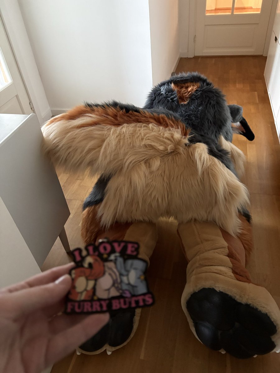 Flip_gshep's tweet photo. #furry #fursona https://t.co/5nuG3N2Nel