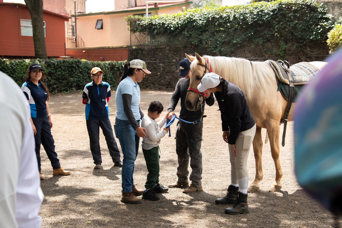 PedroHacesL's tweet photo. UNA BECA PARA QUE EDUARDO NO TENGA QUE DEJAR SUS TERAPIAS.🐴❤️

Hoy acompañamos al pequeño Eduardo en CETPADI, donde recibió una beca para continuar con su equinoterapia. 

Detrás de este apoyo hay padrinos voluntarios que decidieron hacer la diferencia para él y su familia. Porque cuando una terapia se vuelve difícil de sostener, el respaldo de quienes se suman puede abrir una oportunidad muy valiosa. 

Gracias a todos los que hacen esto posible. Le deseamos toda la suerte del mundo a este pequeño con sus terapias!!🫶🐓

#TúHacesTlalpan #PedroHacesLago