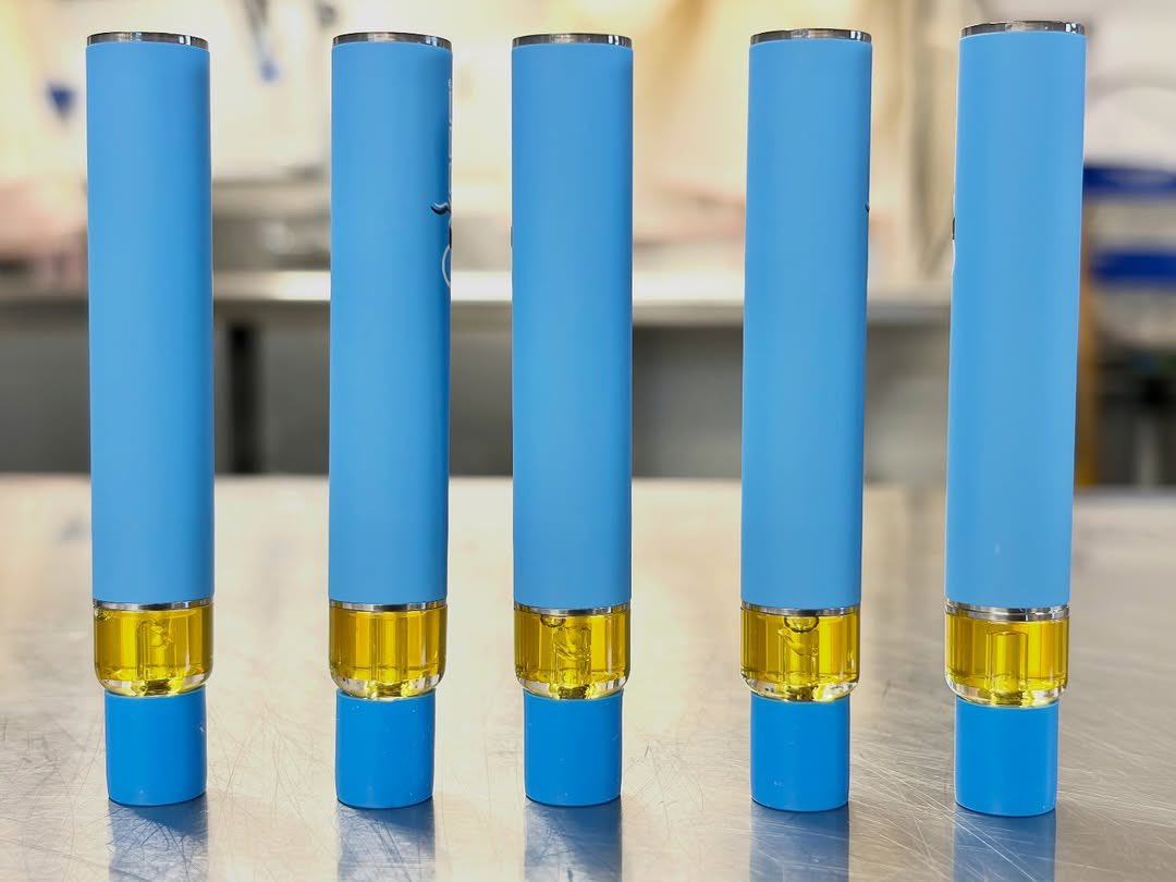 JennaJoy0brv's tweet photo. 98%thc vapes 3g per vape https://t.co/KclkGt8lQE