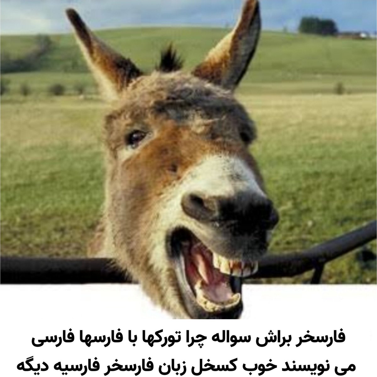 manasturkk2's tweet photo. @fz6fq https://t.co/p11VMkKuJU