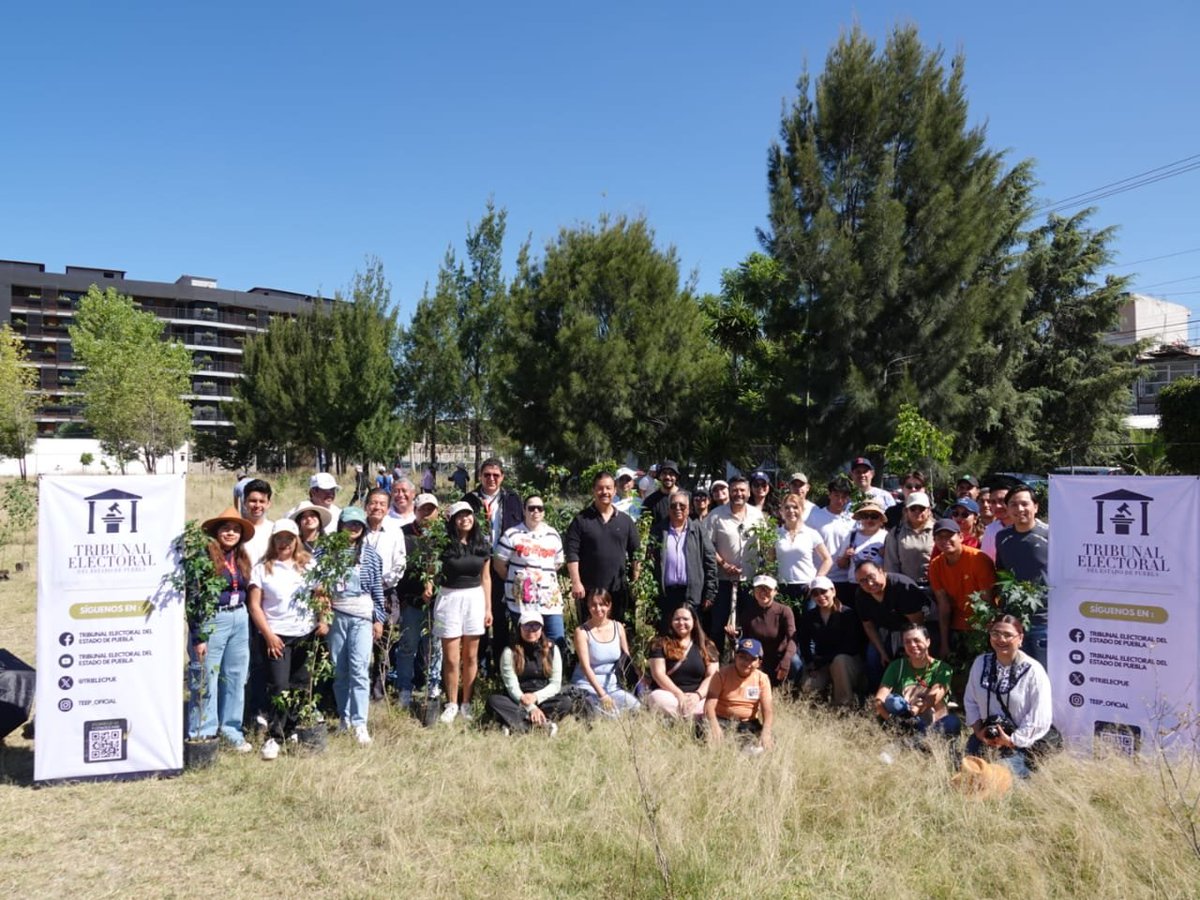 trielecpue's tweet photo. 🌱💚 ¡Sembrando futuro juntas y juntos por Puebla!

En el #TEEP creemos que nuestro compromiso con la justicia va de la mano con el cuidado de nuestra casa común. https://t.co/VfWEUHnizu
