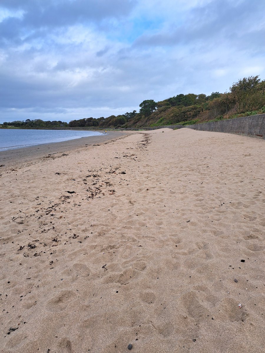 KarenDouglas_NI's tweet photo. Thanks to those who attended @Rotary #BeachClean today. We collected 7 bags of litter (28kgs) from the beach & wooded area inc. cans, bottles, wrappers,containers, clothes, balls, a plug, wires, BBQ etc. Thanks to @ANDborough for lifting the bags 🤩 #Rotary
#ServiceAboveSelf 💛 https://t.co/5Y1mnEL6uq