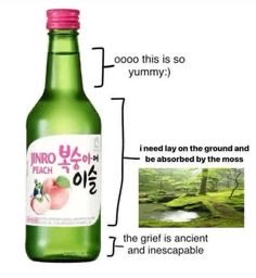 imrooni1's tweet photo. i love soju❤️ https://t.co/PLDyUto5BA