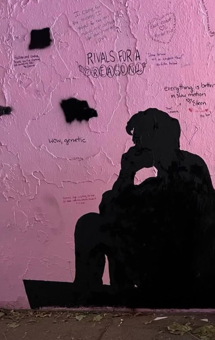 martens195's tweet photo. Pink tunnel 💖 https://t.co/XQoayqEW6B